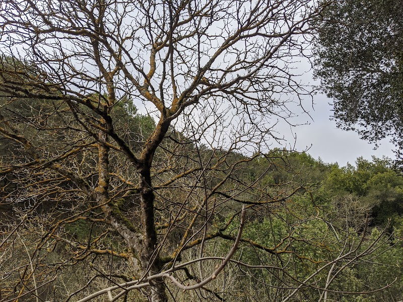 Leona Trailhead - Oakland, CA