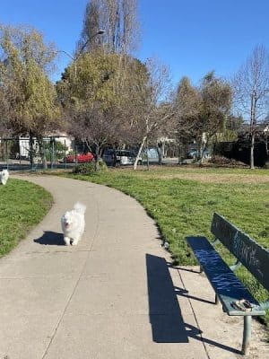 Lower Bottoms Park