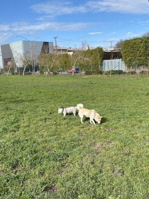 Lower Bottoms Park