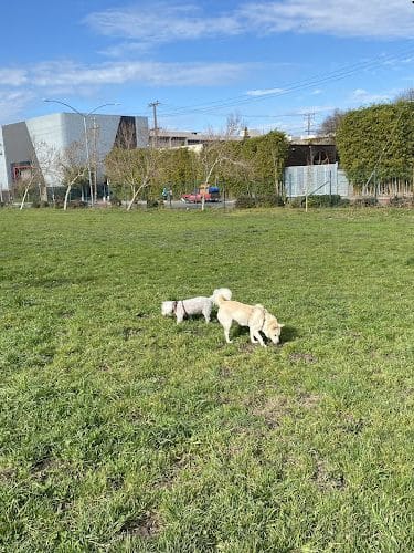 Lower Bottoms Park