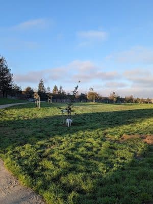 Lower Bottoms Park