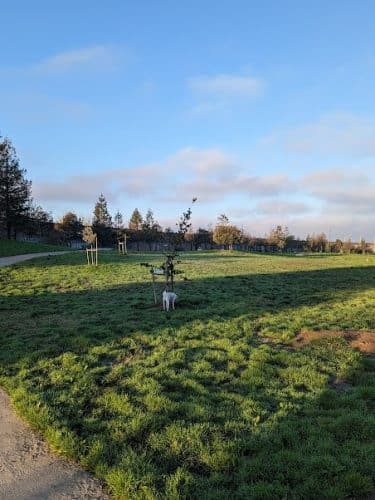 Lower Bottoms Park