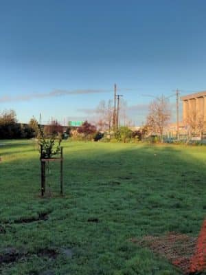 Lower Bottoms Park