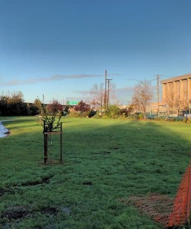 Lower Bottoms Park