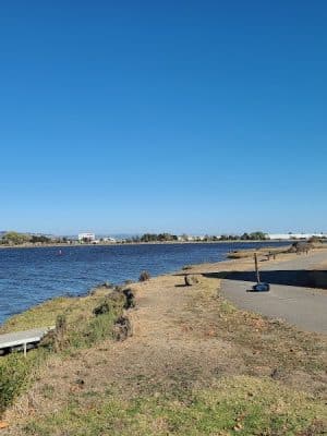 Martin Luther King Jr. Regional Shoreline