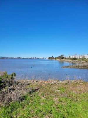 Martin Luther King Jr. Regional Shoreline