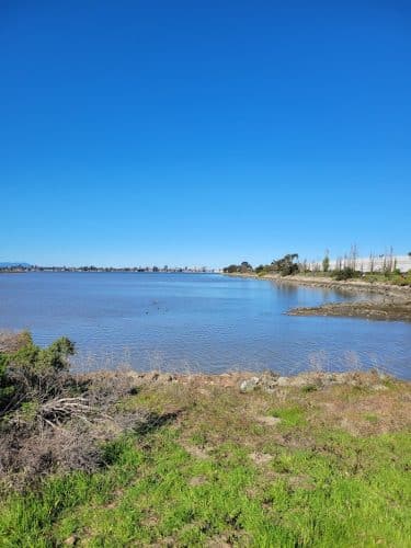Martin Luther King Jr. Regional Shoreline