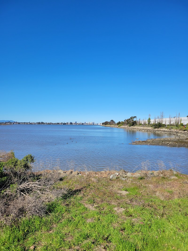 Martin Luther King Jr. Regional Shoreline - Oakland, CA