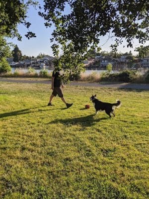 Martin Luther King Jr. Regional Shoreline