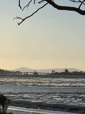 Martin Luther King Jr. Regional Shoreline