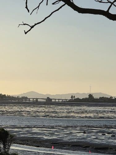 Martin Luther King Jr. Regional Shoreline