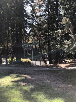 Mosswood Park Large Dog Run