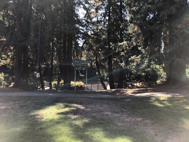 Mosswood Park Large Dog Run - Oakland, CA