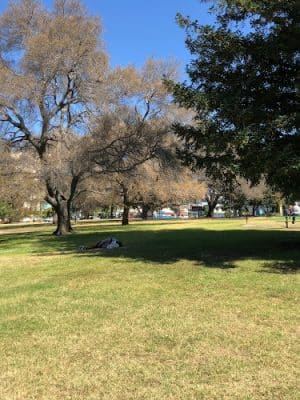 Mosswood Park Large Dog Run