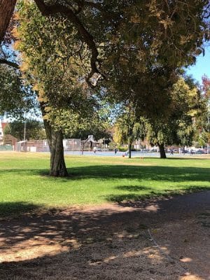 Mosswood Park Large Dog Run