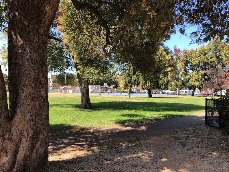 Mosswood Park Large Dog Run - Oakland, CA