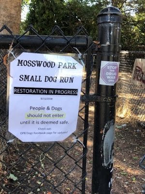 Mosswood Park Large Dog Run