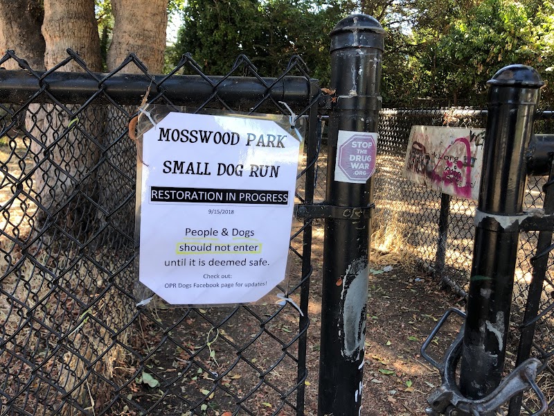 Mosswood Park Large Dog Run - Oakland, CA