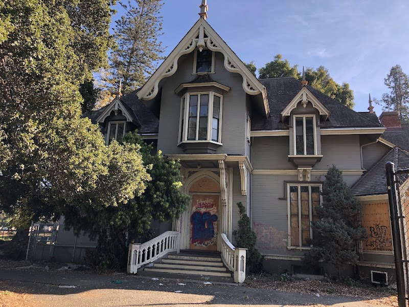 Mosswood Park Large Dog Run - Oakland, CA