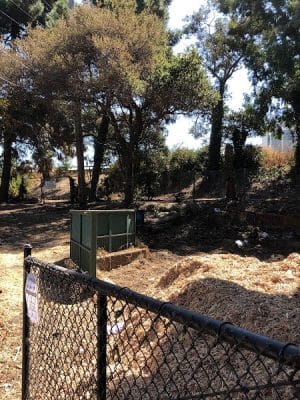 Mosswood Park Large Dog Run