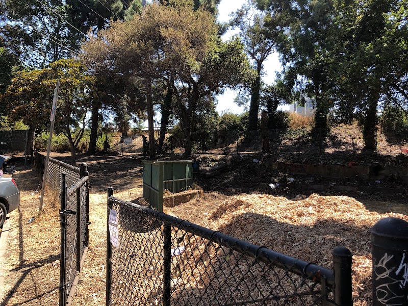 Mosswood Park Large Dog Run - Oakland, CA