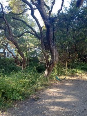 Oak Glen Park