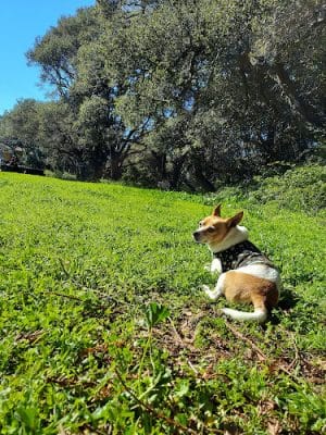 Oak Glen Park