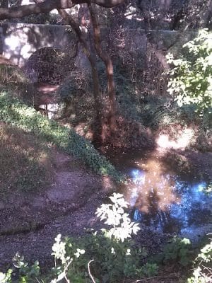 Oak Glen Park