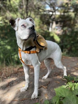 Oak Glen Park