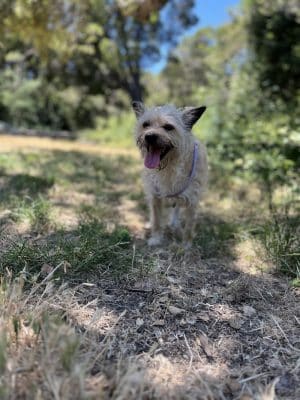 Oak Glen Park