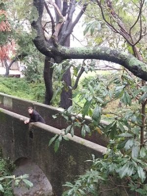 Oak Glen Park