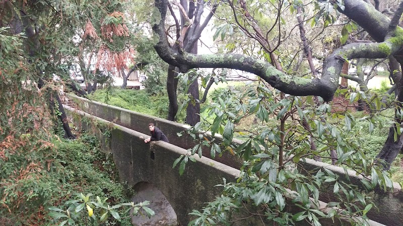 Oak Glen Park - Oakland, CA