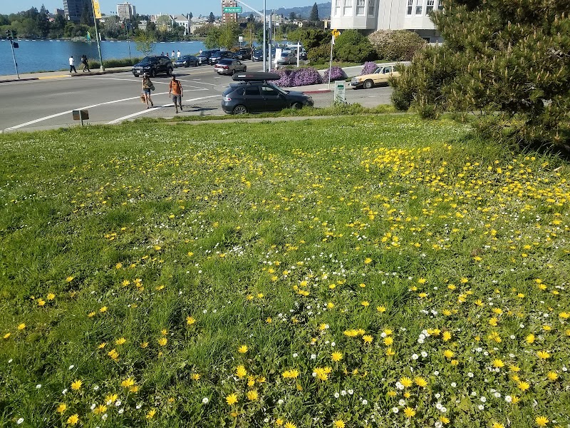 Pine Knoll Park - Oakland, CA