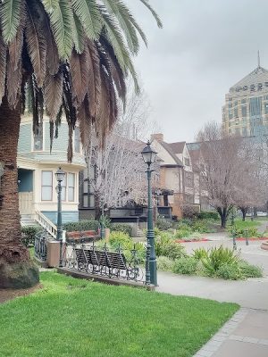 Preservation Park