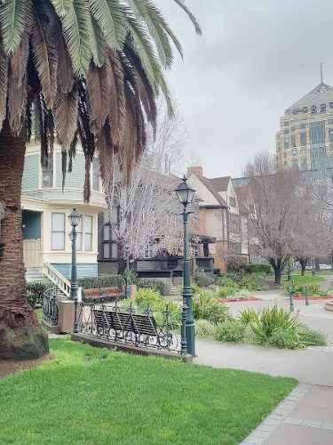 Preservation Park