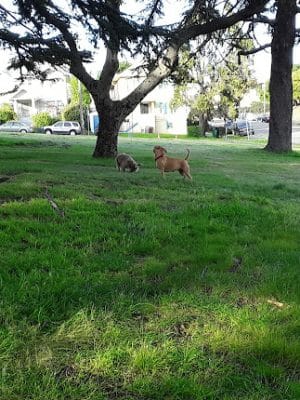 San Antonio Park