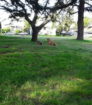 San Antonio Park