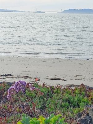 San Francisco Bay Trail