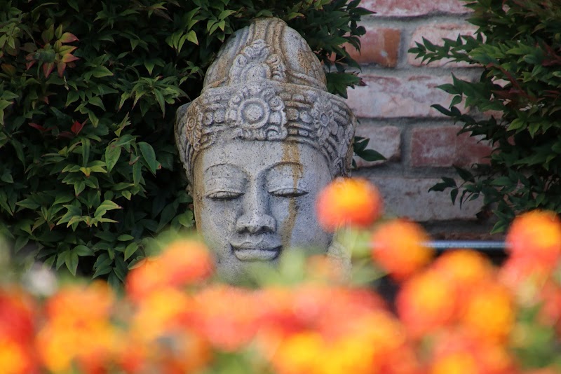 Sheffield Village Park - Oakland, CA