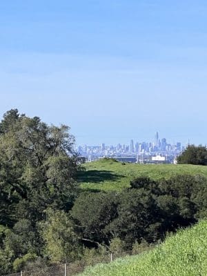 The San Leandro Trails