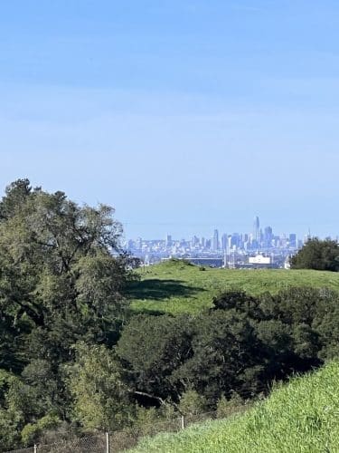 The San Leandro Trails