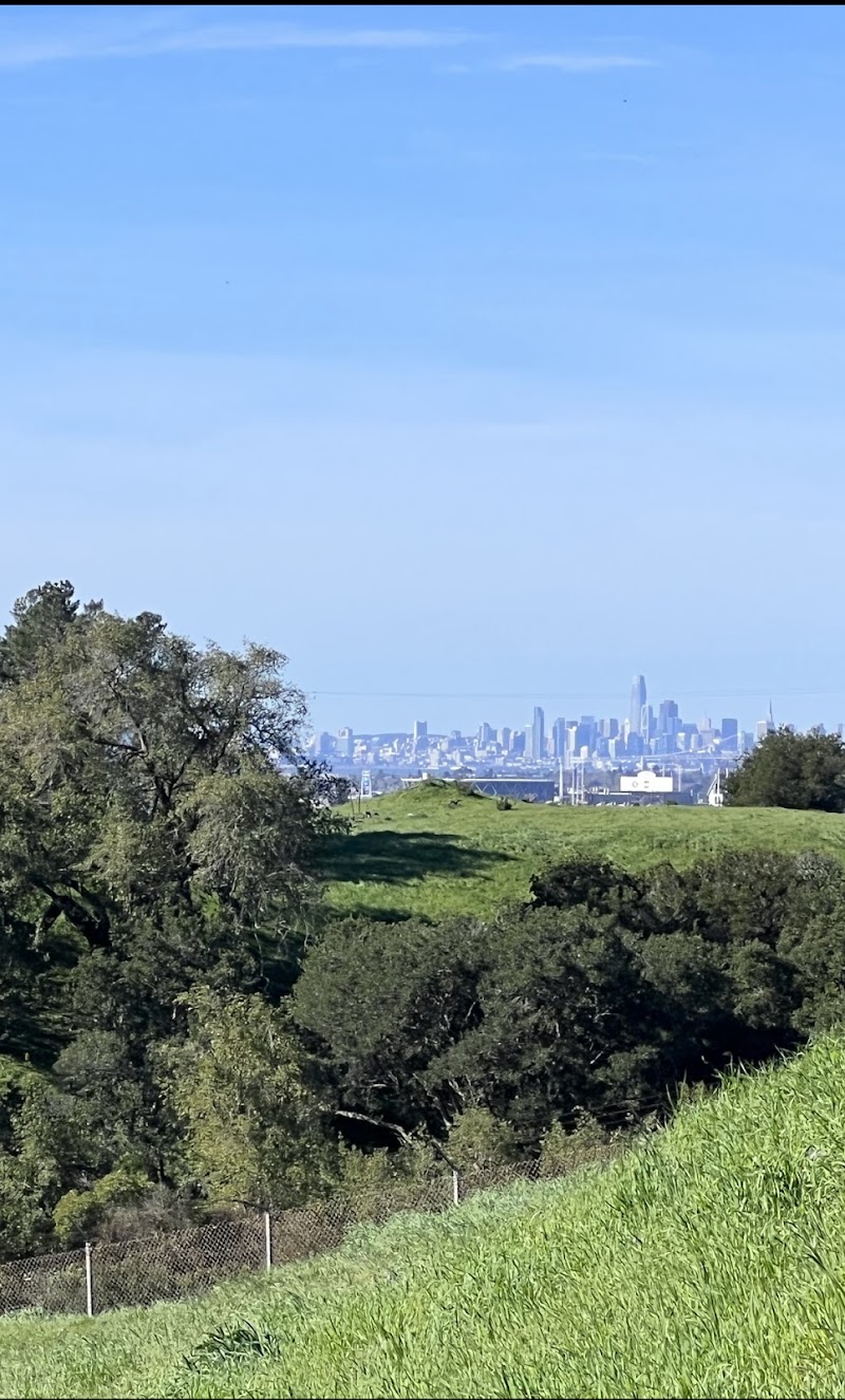 The San Leandro Trails - Oakland, CA