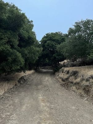 The San Leandro Trails