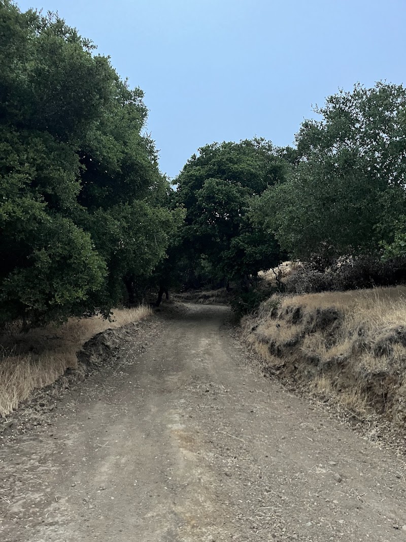 The San Leandro Trails - Oakland, CA