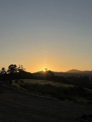 The San Leandro Trails