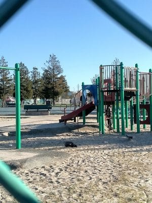 Verdese Carter Park