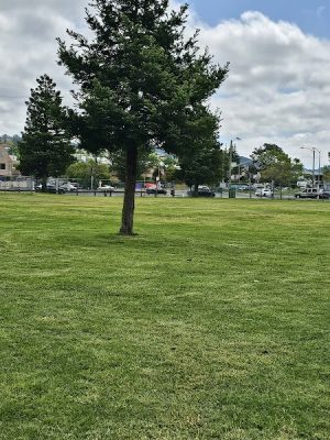 Verdese Carter Park