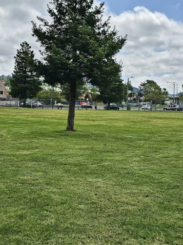 Verdese Carter Park