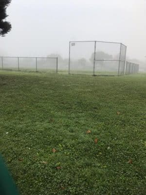 Verdese Carter Park