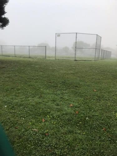 Verdese Carter Park